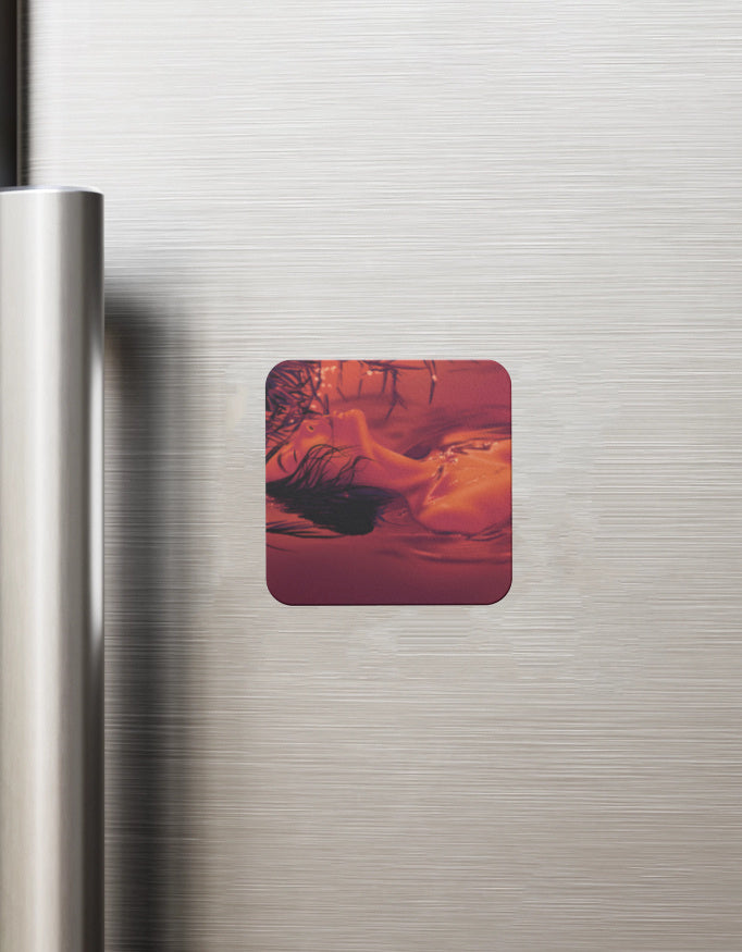 Fridge Magnets